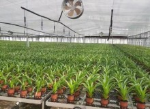 智能温室墙体坡度的注意事项