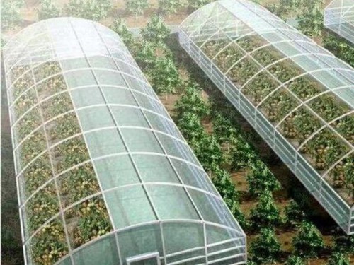 玻璃温室